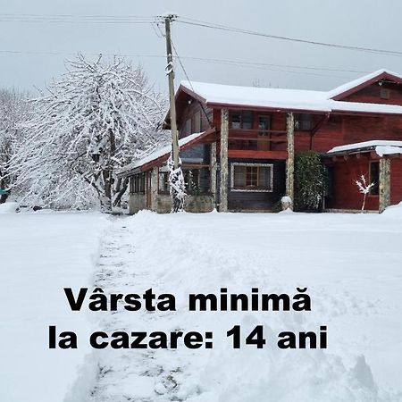 Casa Bunicului Villa Kisvist Kültér fotó