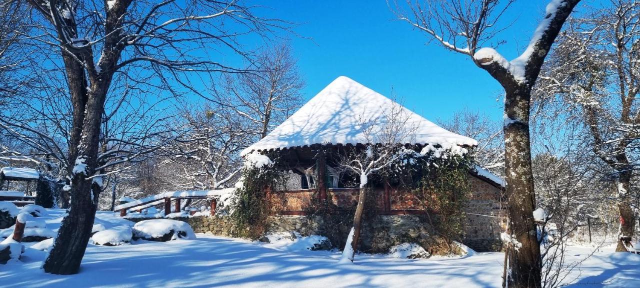 Casa Bunicului Villa Kisvist Kültér fotó