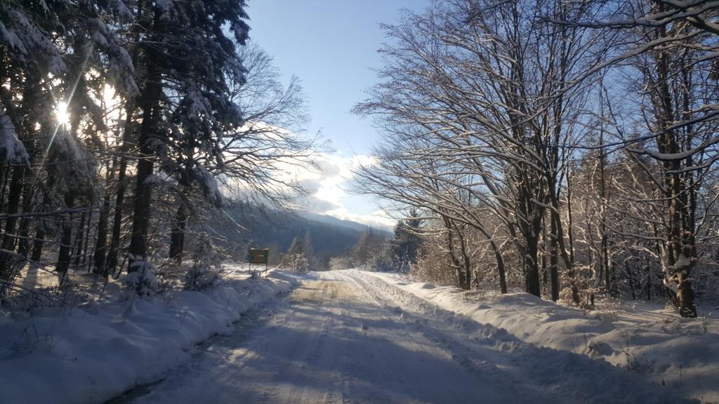 Casa Bunicului Villa Kisvist Kültér fotó