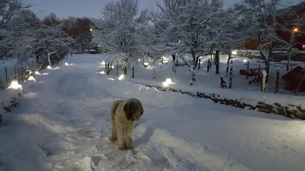 Casa Bunicului Villa Kisvist Kültér fotó