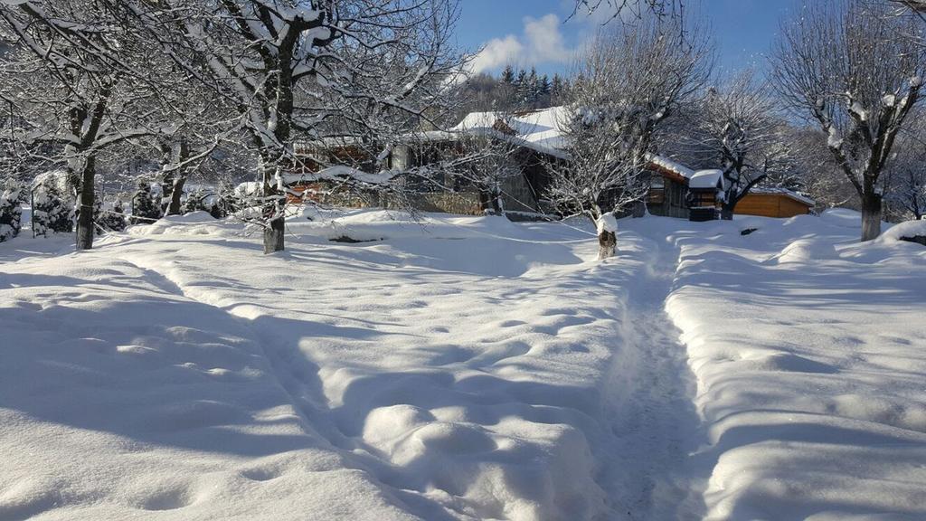 Casa Bunicului Villa Kisvist Kültér fotó