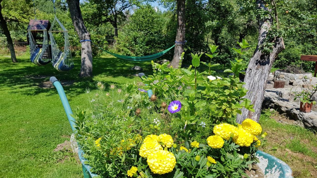 Casa Bunicului Villa Kisvist Kültér fotó