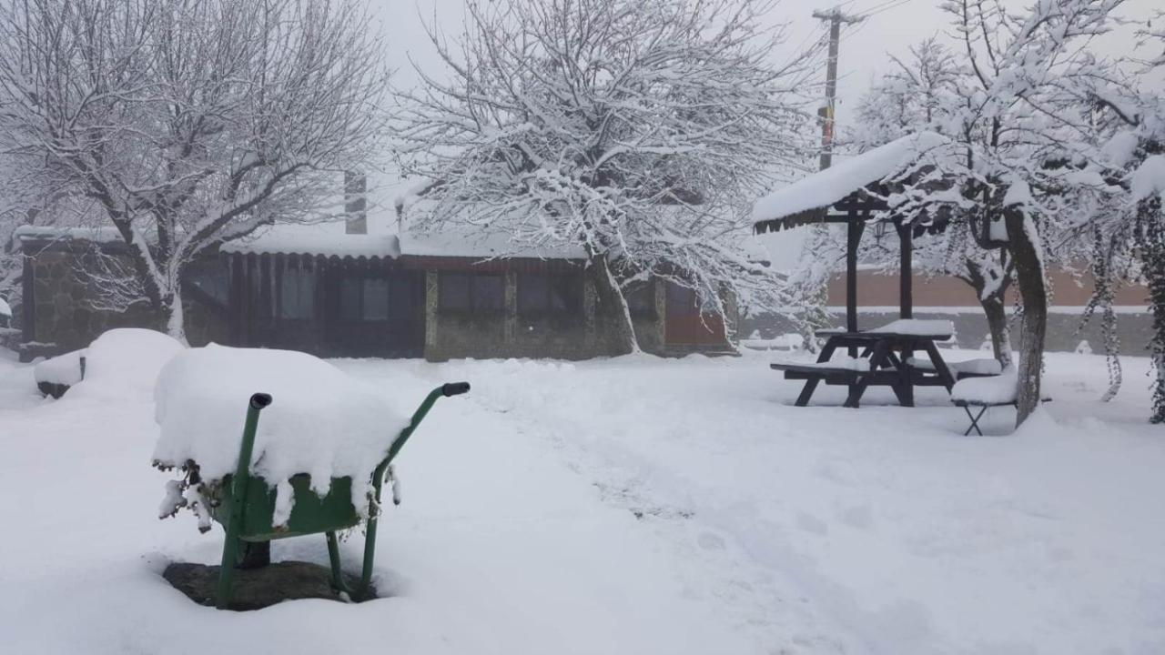Casa Bunicului Villa Kisvist Kültér fotó