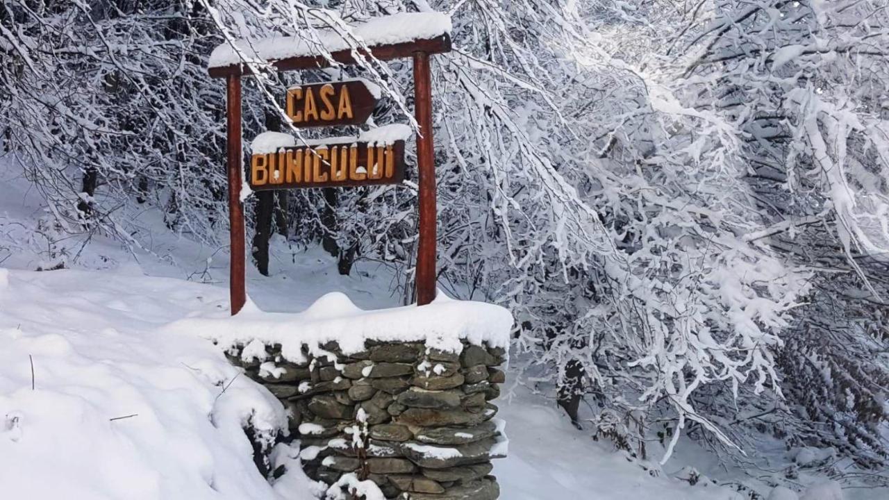 Casa Bunicului Villa Kisvist Kültér fotó