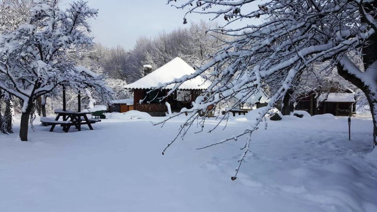 Casa Bunicului Villa Kisvist Kültér fotó